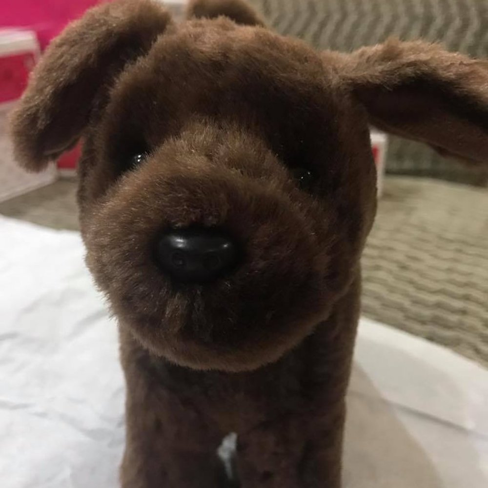 RETIRED - American Girl Chocolate Lab Puppy  - EUC